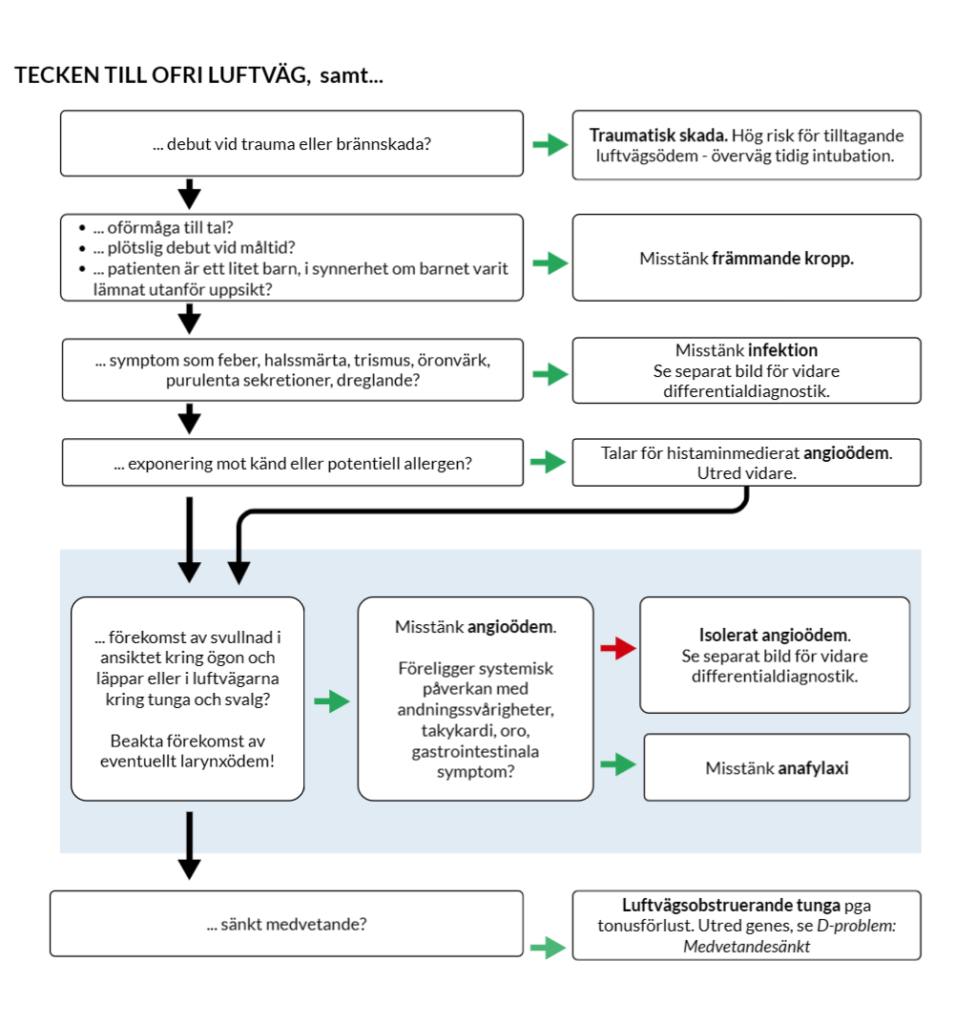 Figur 2. Differentialdiagnostik vid ofri luftväg.